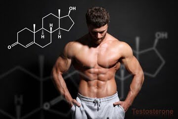 Why Steelgear and Where to Buy SARMs Online? Complete Guide to Safety, Quality & Legitimacy